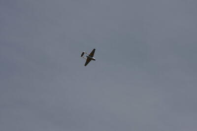 IMG 5923